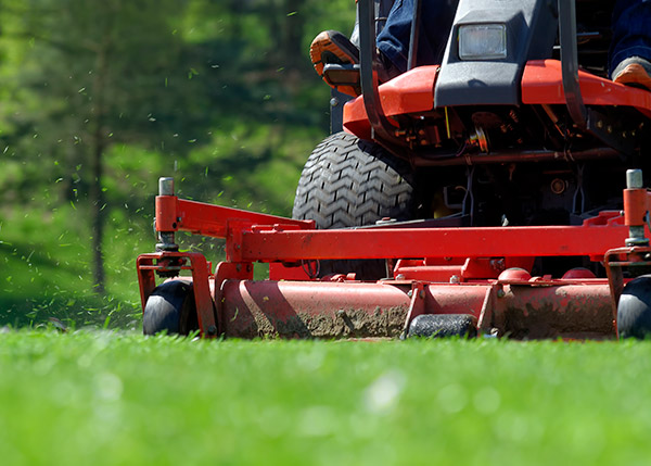 A closeup shot of a lawn mower cutting green grass